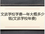 文武学校学费一年大概多少钱(文武学校年费)