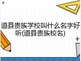 道县贵族学校叫什么名字好听(道县贵族校名)