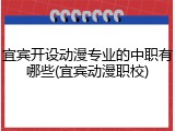 宜宾开设动漫专业的中职有哪些(宜宾动漫职校)