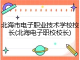 北海市电子职业技术学校校长(北海电子职校校长)