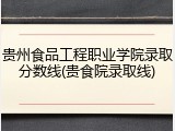 贵州食品工程职业学院录取分数线(贵食院录取线)