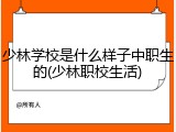 少林学校是什么样子中职生的(少林职校生活)
