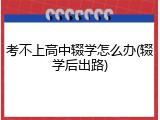 考不上高中辍学怎么办(辍学后出路)