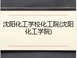 沈阳化工学校化工院(沈阳化工学院)