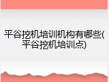 平谷挖机培训机构有哪些(平谷挖机培训点)