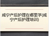 咸宁产后护理在哪里学(咸宁产后护理培训)