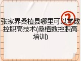 张家界桑植县哪里可以学数控职高技术(桑植数控职高培训)
