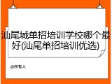 汕尾城单招培训学校哪个最好(汕尾单招培训优选)