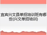 宜宾兴文县单招培训班有哪些(兴文单招培训)