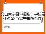 文山富宁县单招集训学校要什么条件(富宁单招条件)
