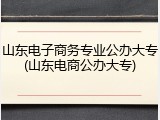山东电子商务专业公办大专(山东电商公办大专)