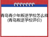 青岛青少年叛逆学校怎么样(青岛叛逆学校评价)