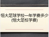 恒大足球学校一年学费多少(恒大足校学费)