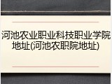 河池农业职业科技职业学院地址(河池农职院地址)