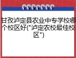 甘孜泸定县农业中专学校哪个校区好("泸定农校最佳校区")