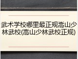 武术学校哪里最正规嵩山少林武校(嵩山少林武校正规)