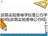 武昌实验寄宿学校是公办学校吗(武昌实验寄宿公办吗)