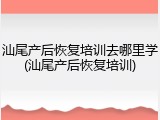 汕尾产后恢复培训去哪里学(汕尾产后恢复培训)