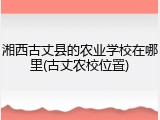 湘西古丈县的农业学校在哪里(古丈农校位置)
