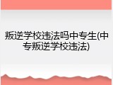 叛逆学校违法吗中专生(中专叛逆学校违法)