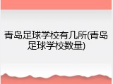 青岛足球学校有几所(青岛足球学校数量)