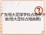 广东恒大足球学校占地多少亩(恒大足校占地亩数)