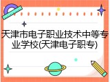 天津市电子职业技术中等专业学校(天津电子职专)