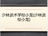少林武术学校小龙(少林武校小龙)