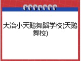 大冶小天鹅舞蹈学校(天鹅舞校)