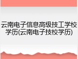云南电子信息高级技工学校学历(云南电子技校学历)
