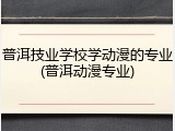普洱技业学校学动漫的专业(普洱动漫专业)