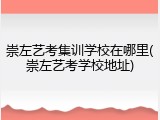 崇左艺考集训学校在哪里(崇左艺考学校地址)
