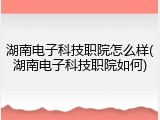 湖南电子科技职院怎么样(湖南电子科技职院如何)