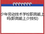 少年劳动技术学校职高能上吗(职高能上少技校)