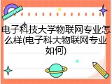 电子科技大学物联网专业怎么样(电子科大物联网专业如何)