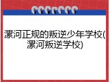 漯河正规的叛逆少年学校(漯河叛逆学校)