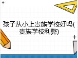 孩子从小上贵族学校好吗(贵族学校利弊)