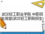 武汉轻工职业学院 中职招生简章(武汉轻工职院招生)