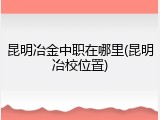 昆明冶金中职在哪里(昆明冶校位置)