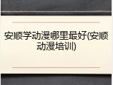 安顺学动漫哪里最好(安顺动漫培训)