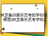 林芝集训音乐艺考的学校在哪里(林芝音乐艺考学校)