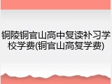 铜陵铜官山高中复读补习学校学费(铜官山高复学费)