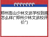 郑州嵩山少林文武学校到底怎么样("郑州少林文武校评价")