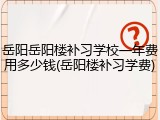 岳阳岳阳楼补习学校一年费用多少钱(岳阳楼补习学费)