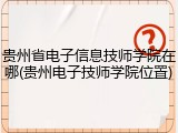 贵州省电子信息技师学院在哪(贵州电子技师学院位置)