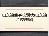 山东冶金学校现状(山东冶金校现况)