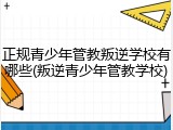 正规青少年管教叛逆学校有哪些(叛逆青少年管教学校)