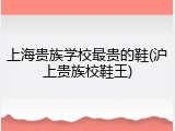 上海贵族学校最贵的鞋(沪上贵族校鞋王)