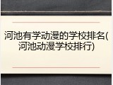 河池有学动漫的学校排名(河池动漫学校排行)