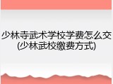 少林寺武术学校学费怎么交(少林武校缴费方式)